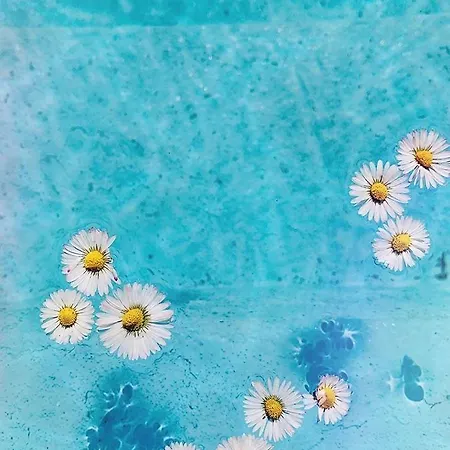 Nyaraló Maison L'allee *