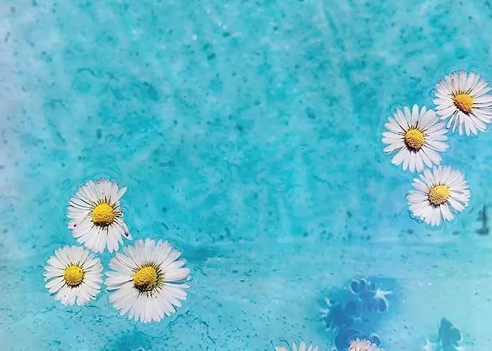 別荘 Maison L'allee *